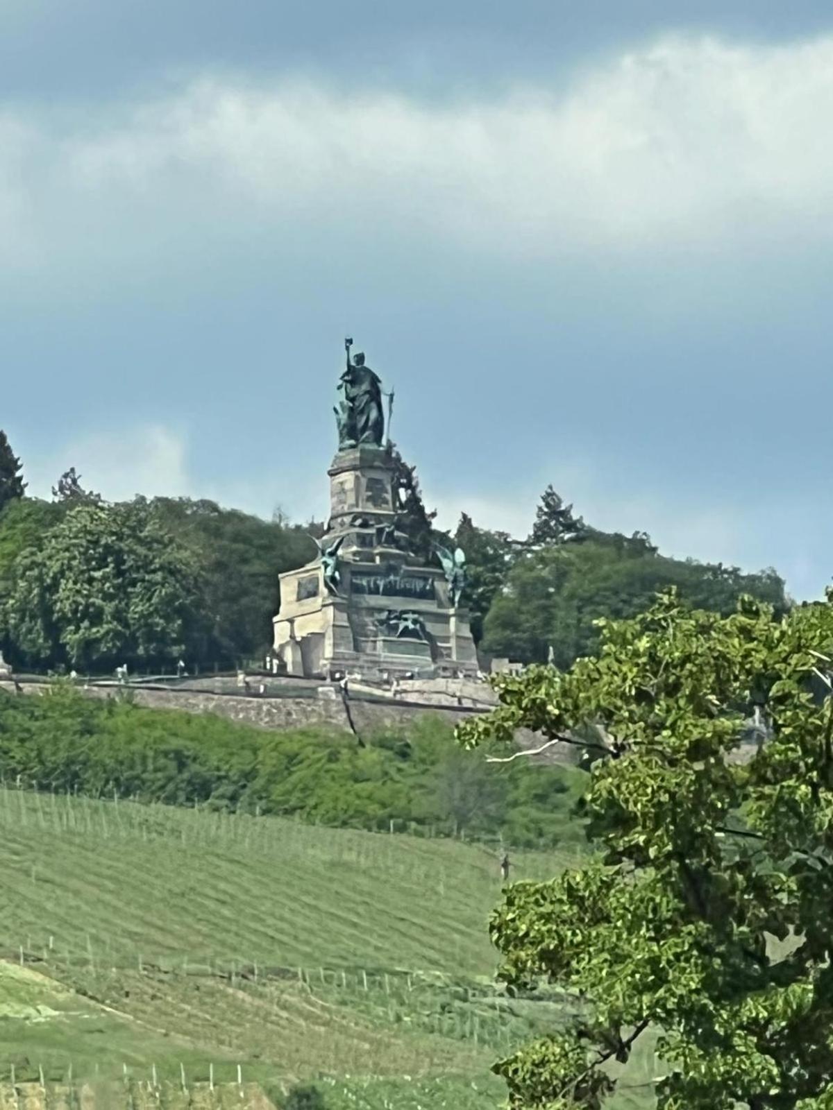莱茵河畔的宾根Design Am Rhein - Traumlage Rheinufer I Kueche I Oeffentl Parkplaetze公寓 外观 照片